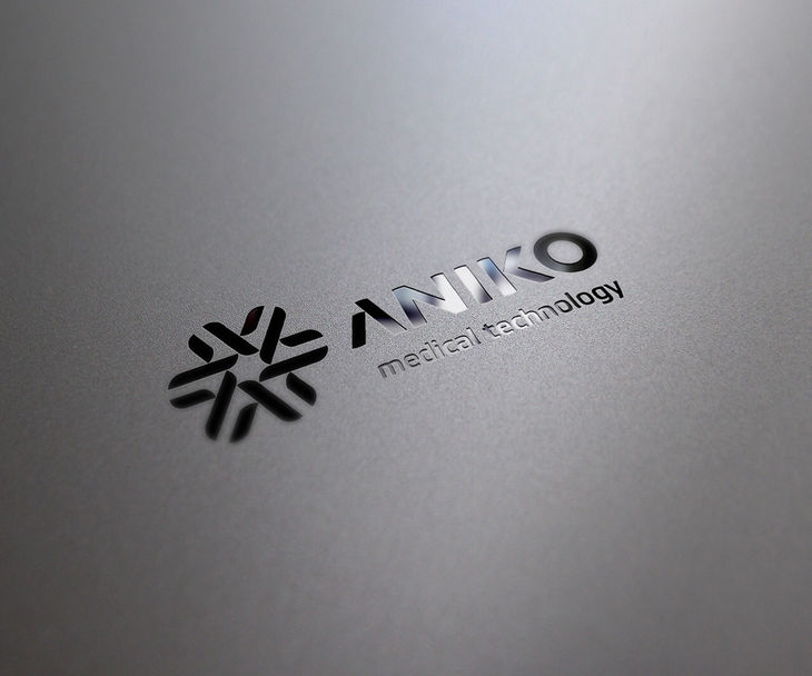 Горизонтальный логотип компании ANIKO. Пескоструйная обработка