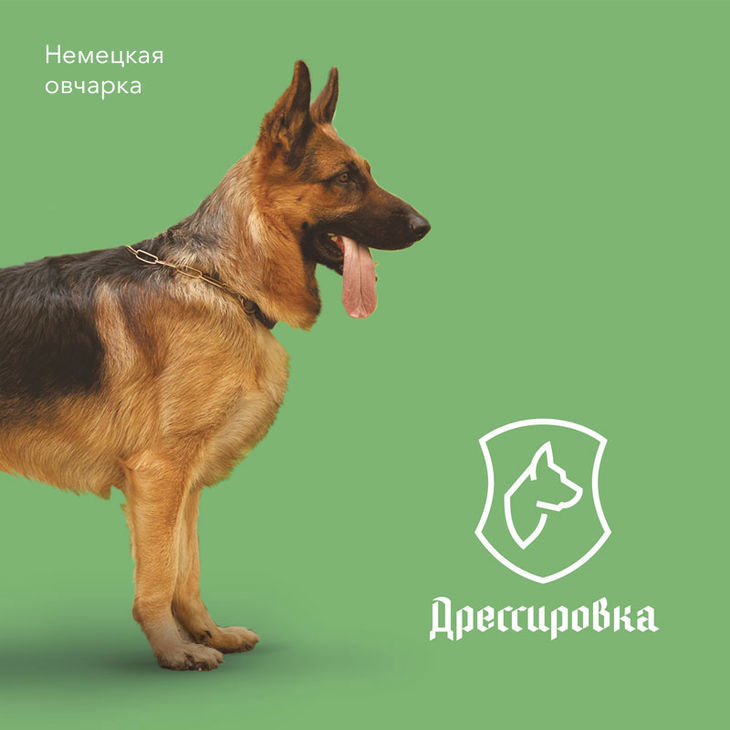 Логотип услуги по дрессировке для центра дрессировки собак Догвардс