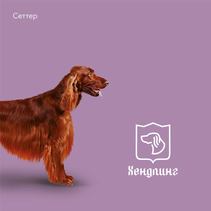 Логотип услуги хендлинга для центра дрессировки собак Догвардс