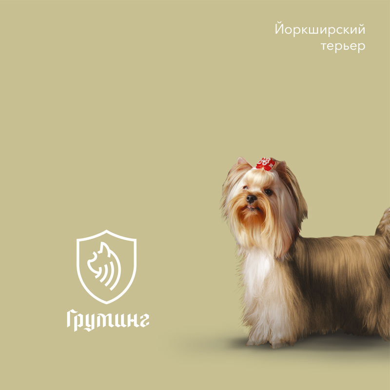 Логотип услуги груминга для центра дрессировки собак Догвардс