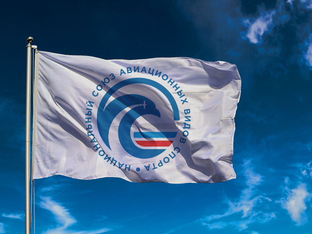 Логотип НСАВС. Флаг